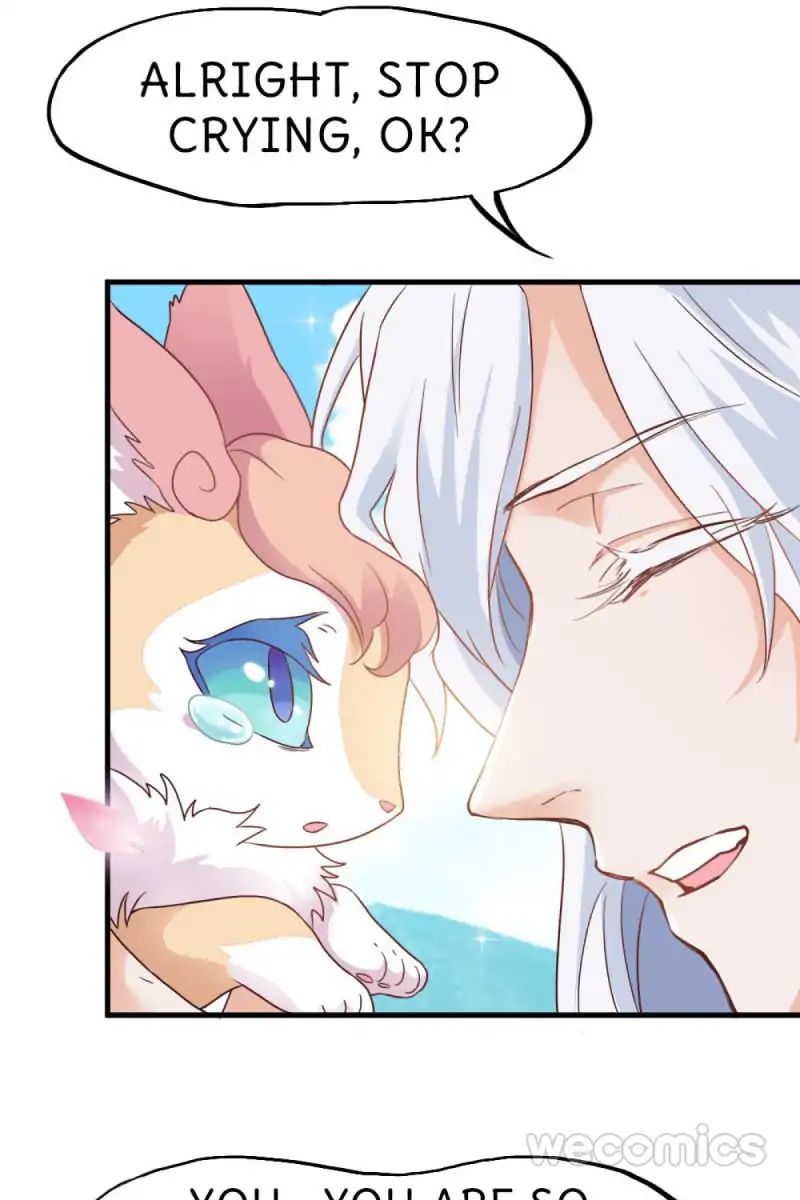 Page 33 of Chapter 17