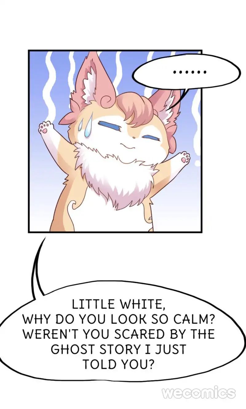 Page 14 of Chapter 19