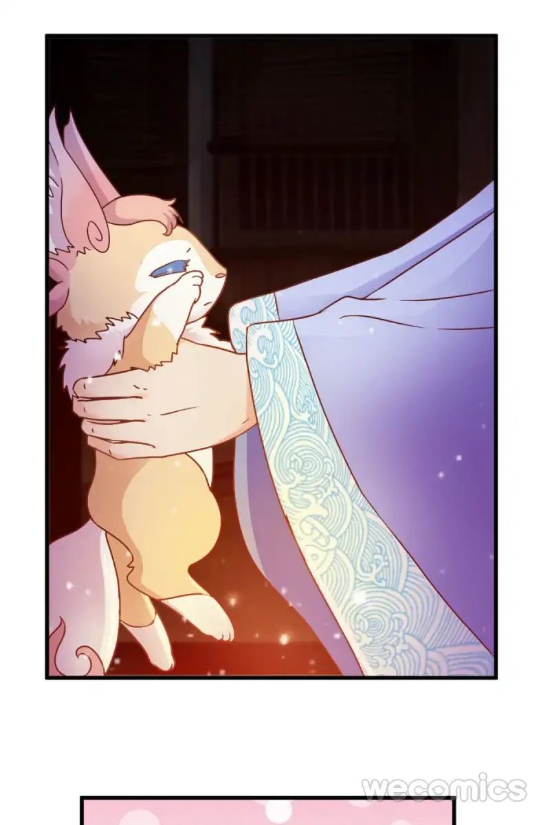 Page 15 of Chapter 19