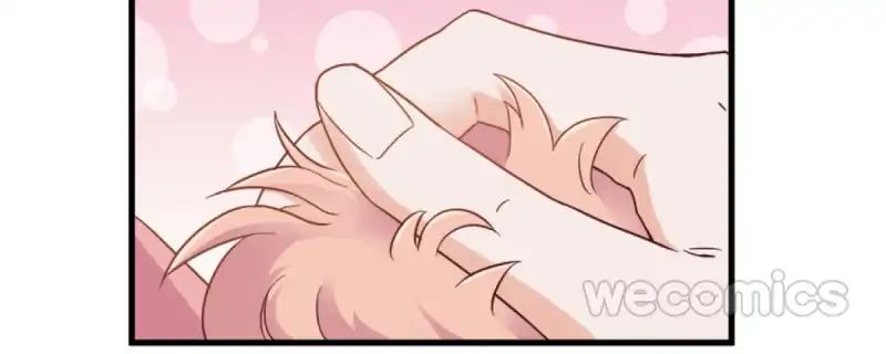 Page 16 of Chapter 19