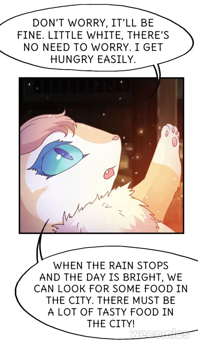 Page 25 of Chapter 19