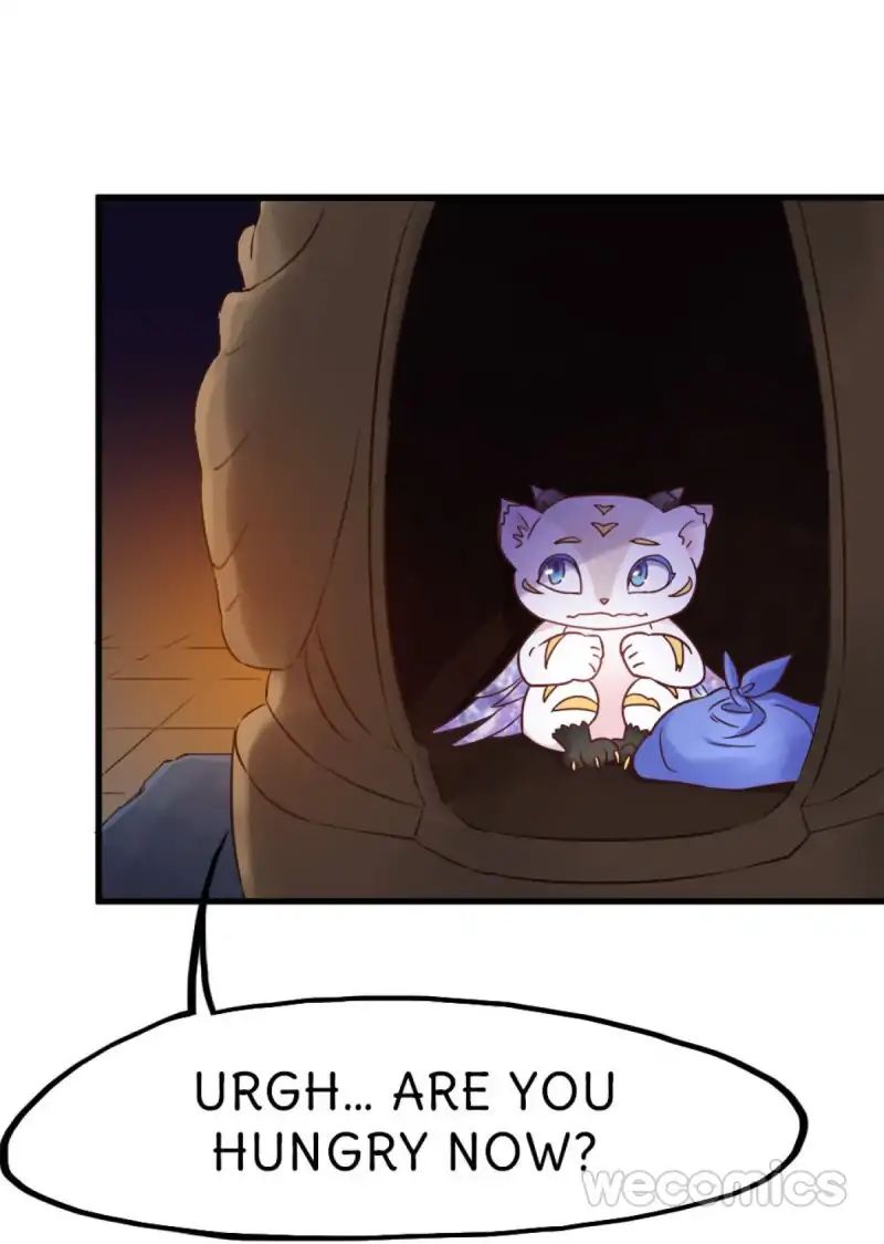 Page 29 of Chapter 19