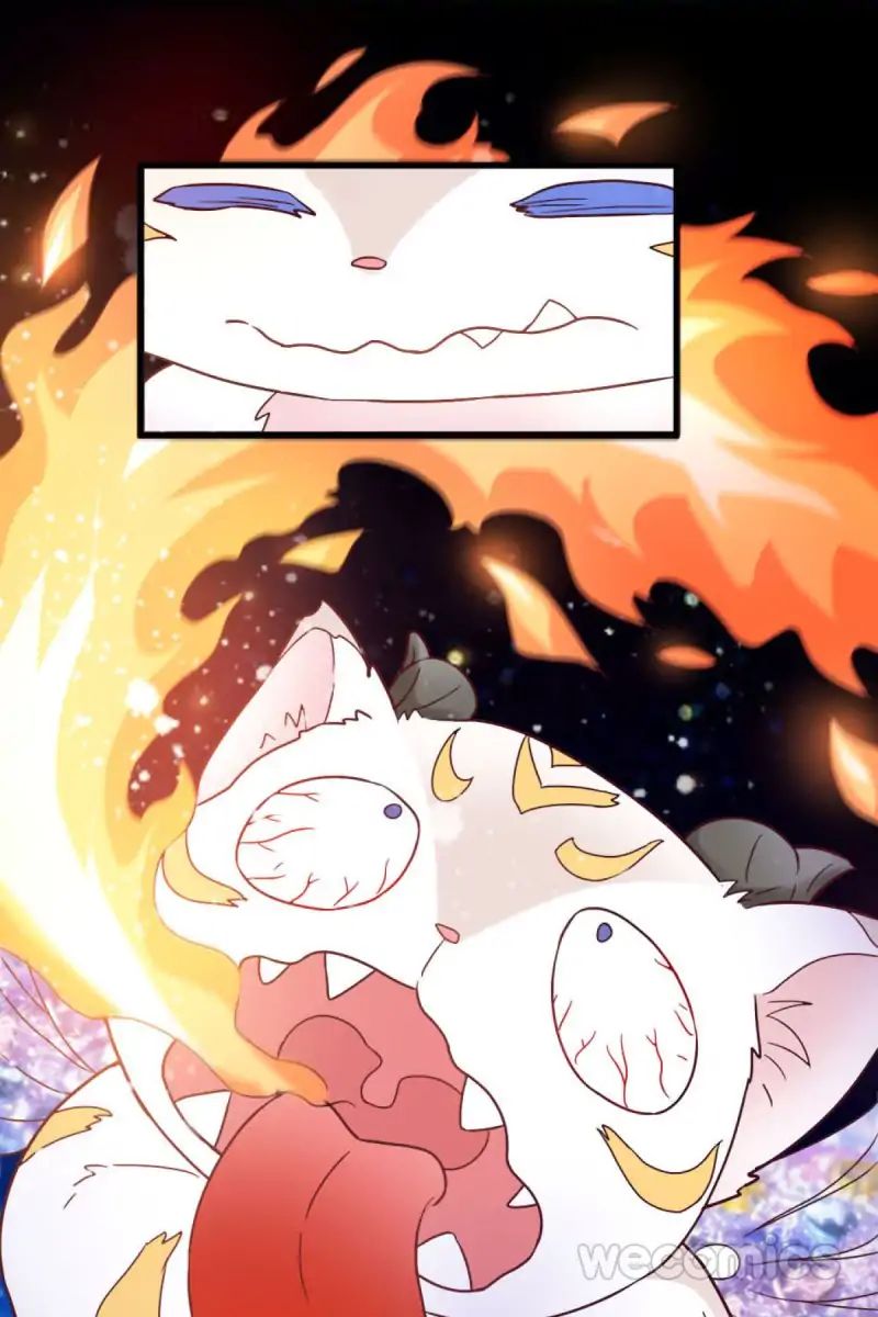 Page 33 of Chapter 19