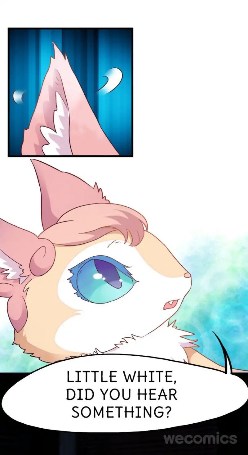 Page 36 of Chapter 19