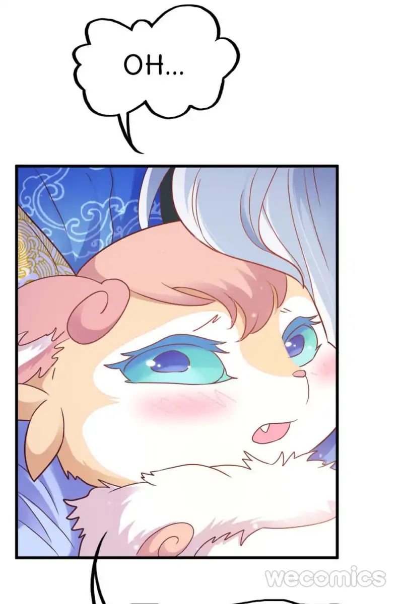 Page 41 of Chapter 19