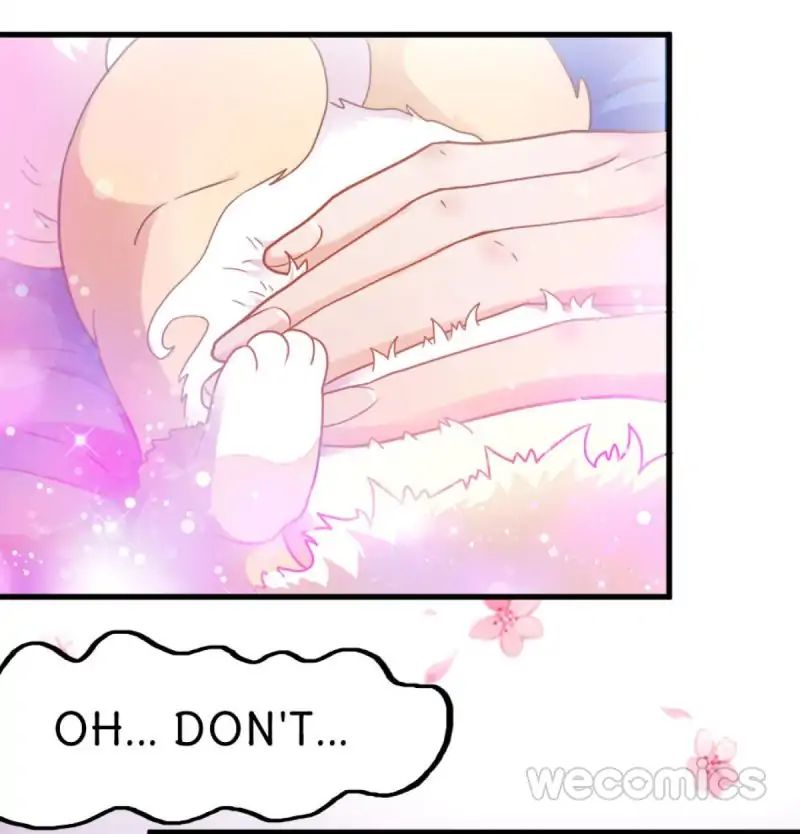 Page 44 of Chapter 19