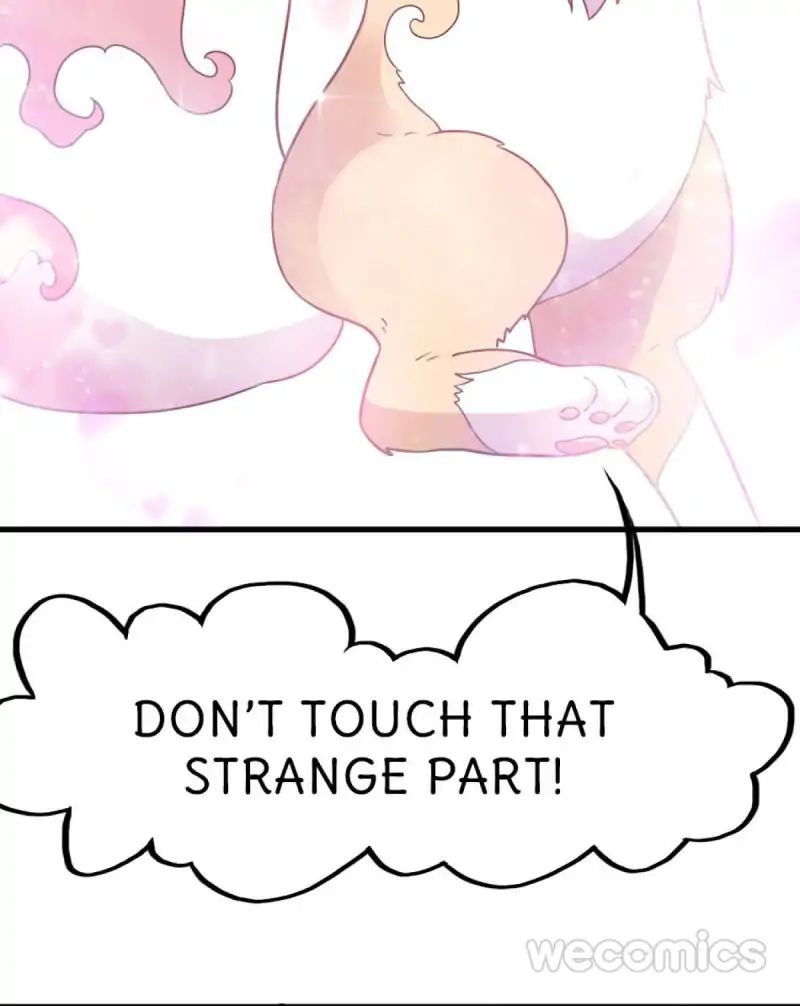 Page 46 of Chapter 19