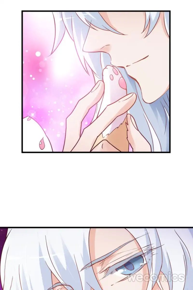 Page 48 of Chapter 19