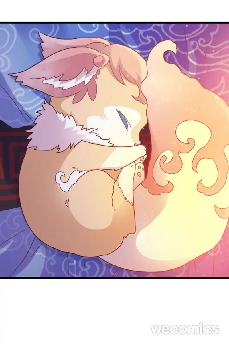 Page 5 of Chapter 20