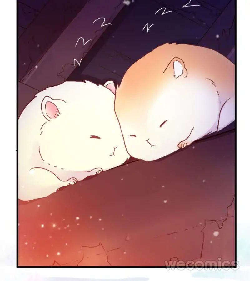 Page 13 of Chapter 20