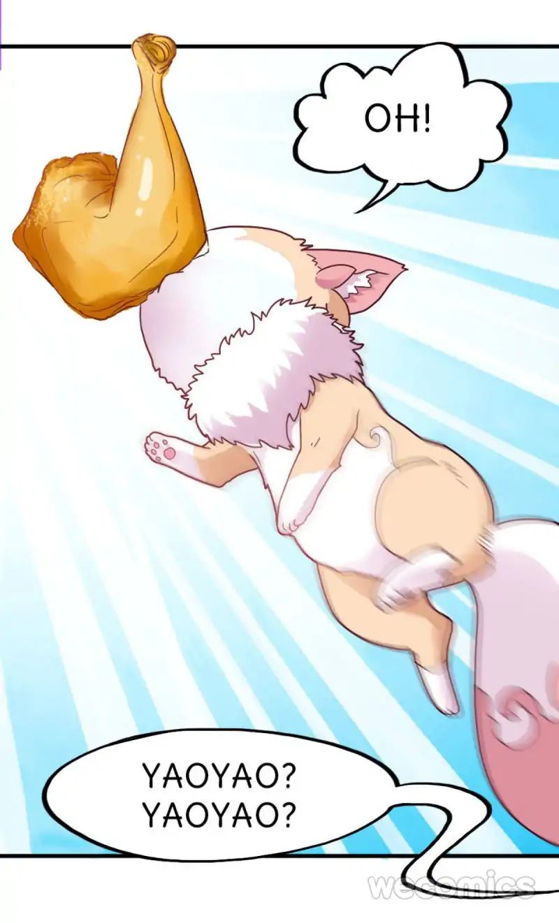 Page 19 of Chapter 20