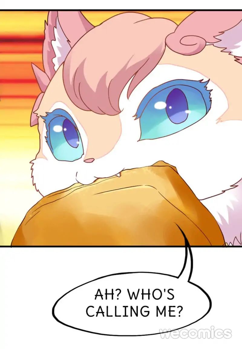Page 20 of Chapter 20