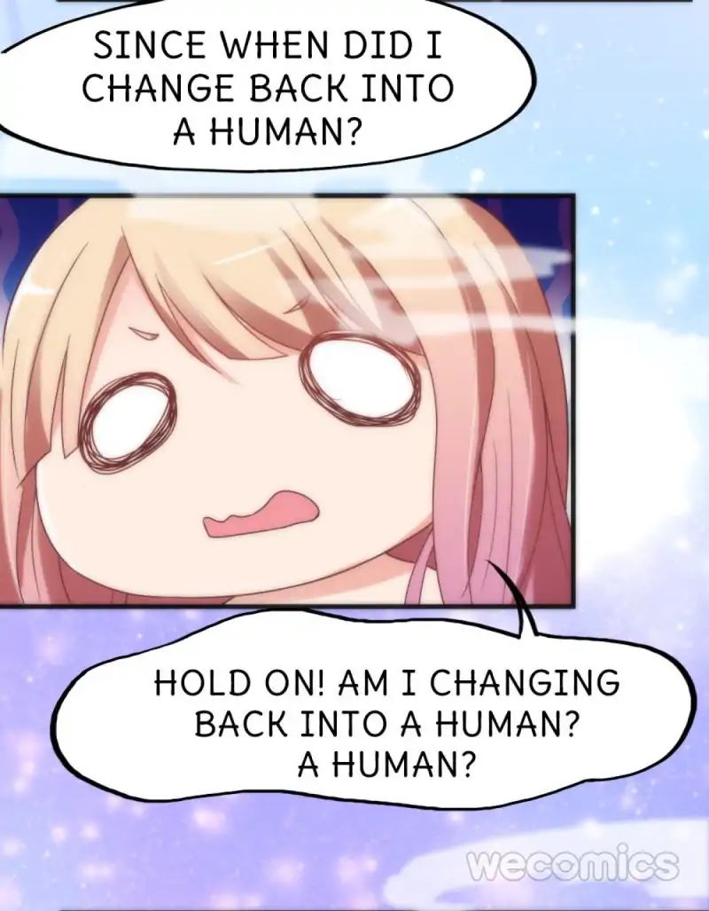 Page 36 of Chapter 20