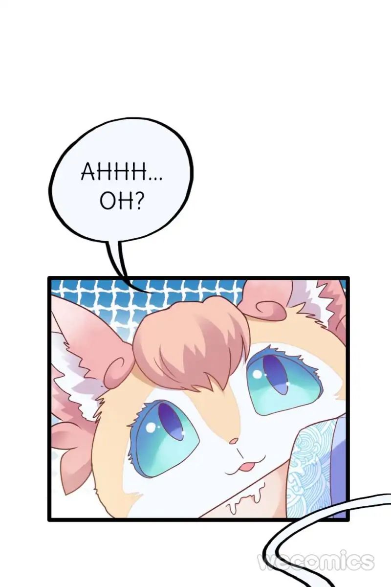 Page 1 of Chapter 22