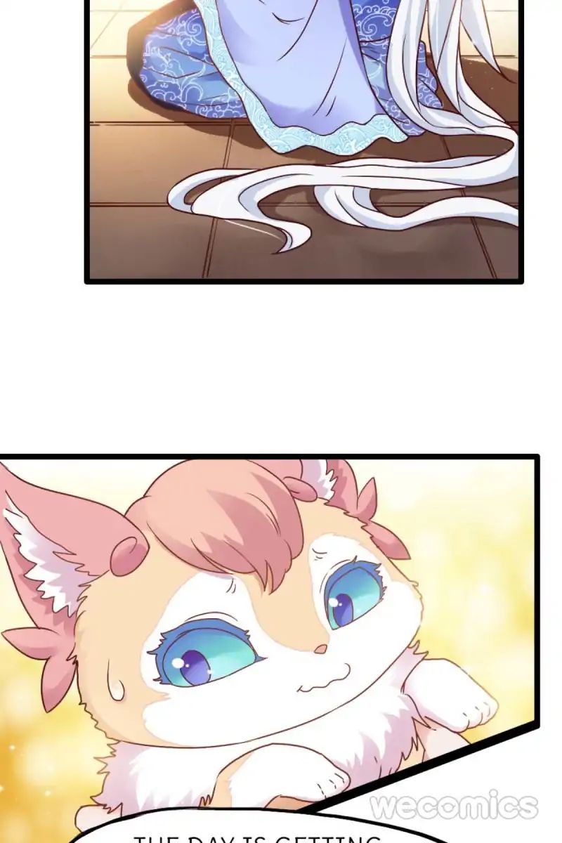 Page 15 of Chapter 22