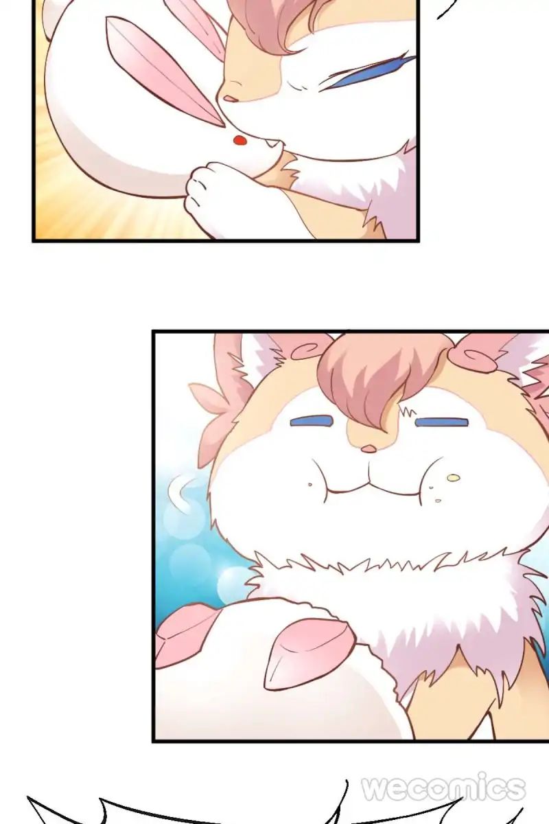 Page 19 of Chapter 23