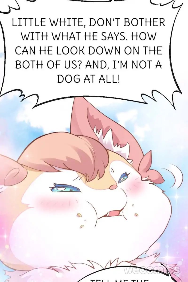 Page 20 of Chapter 23