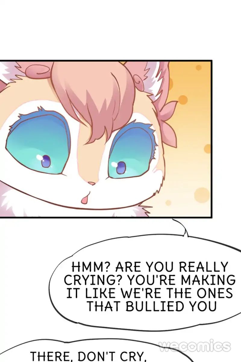 Page 13 of Chapter 24