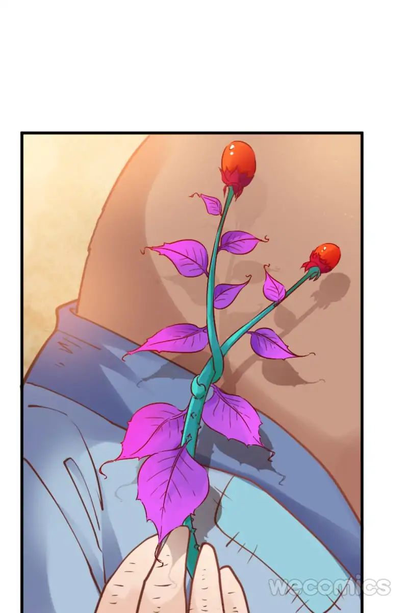 Page 20 of Chapter 24