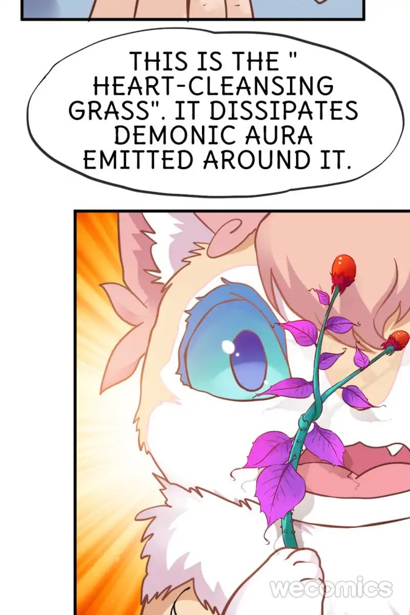 Page 21 of Chapter 24