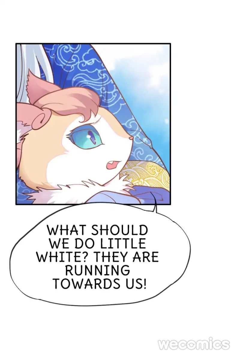 Page 17 of Chapter 25