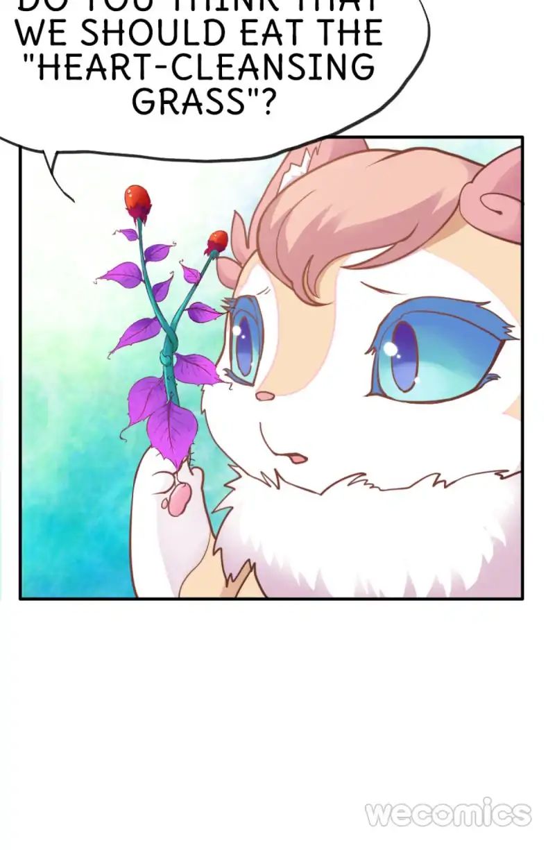 Page 26 of Chapter 25
