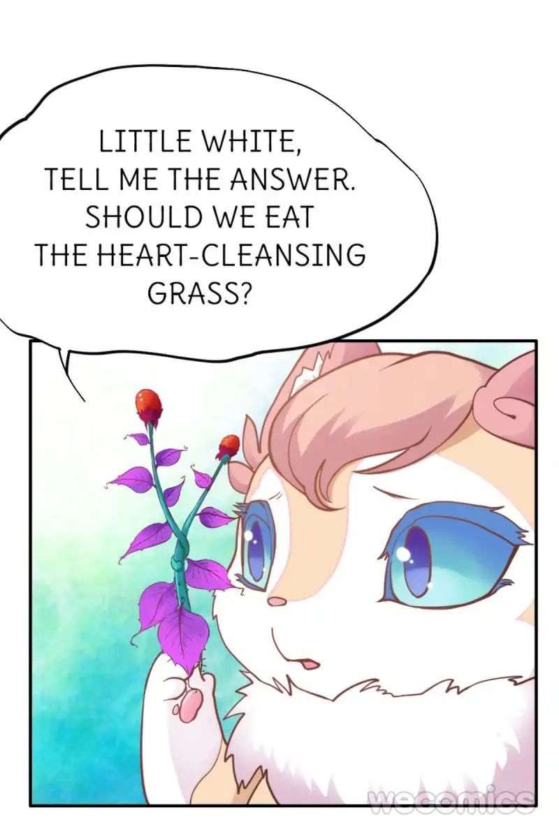 Page 1 of Chapter 26