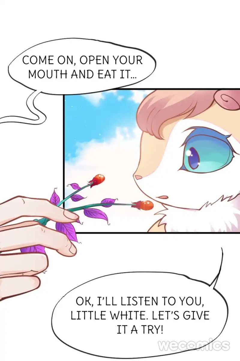 Page 13 of Chapter 26