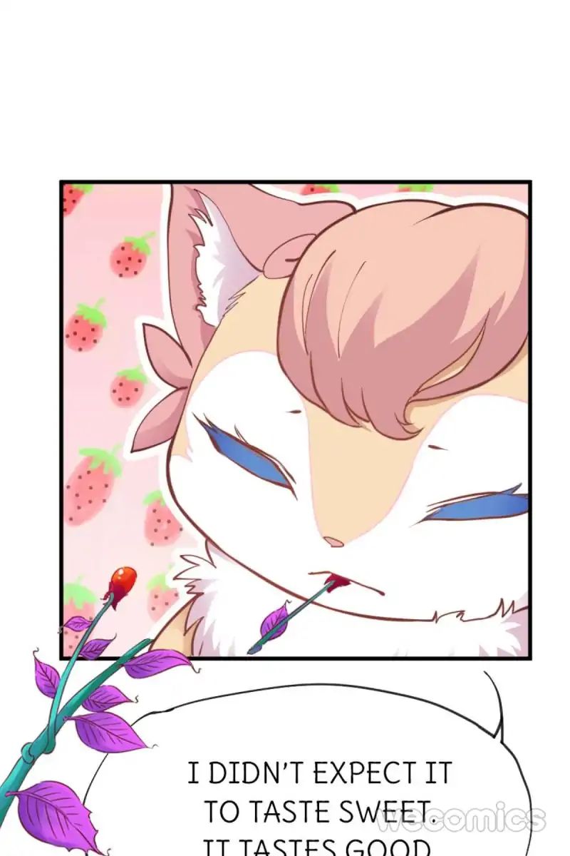 Page 14 of Chapter 26