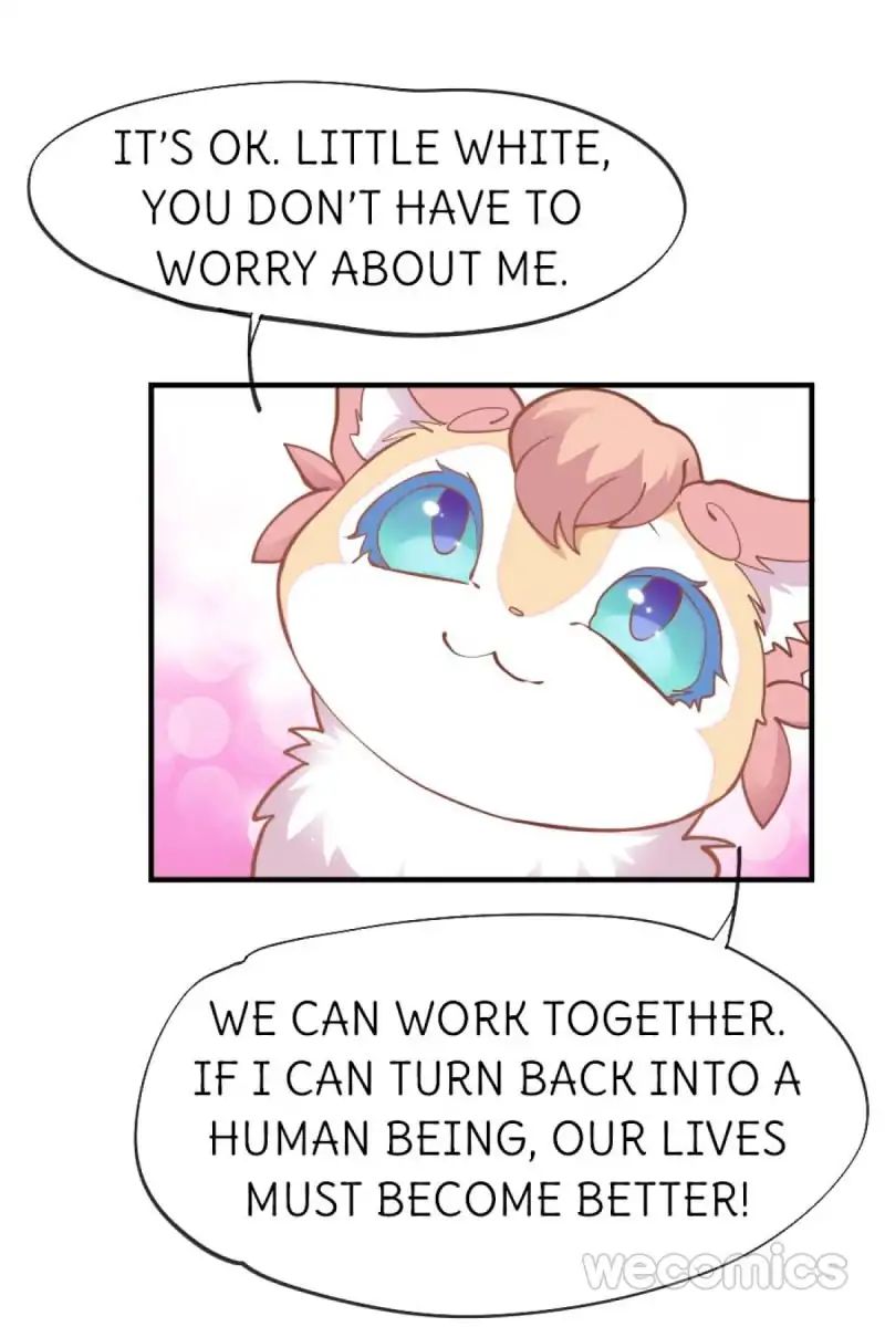 Page 1 of Chapter 29