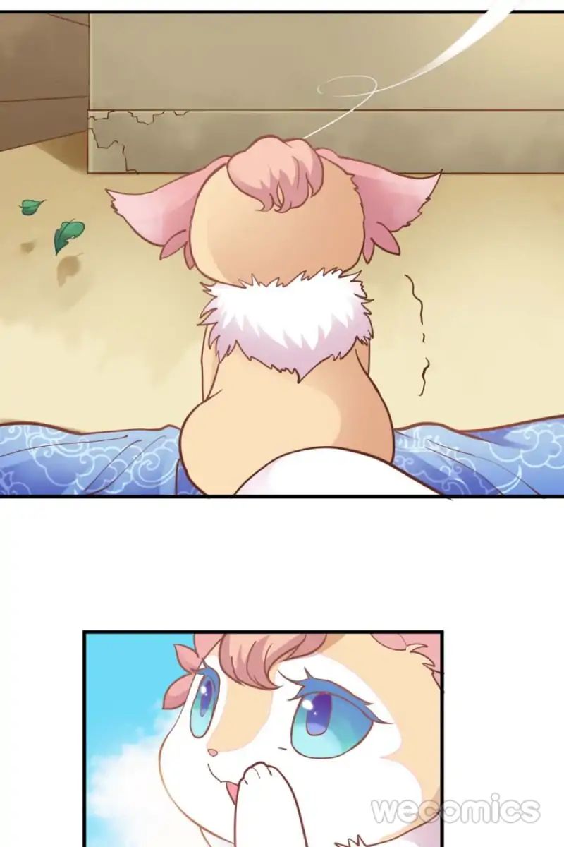Page 5 of Chapter 29