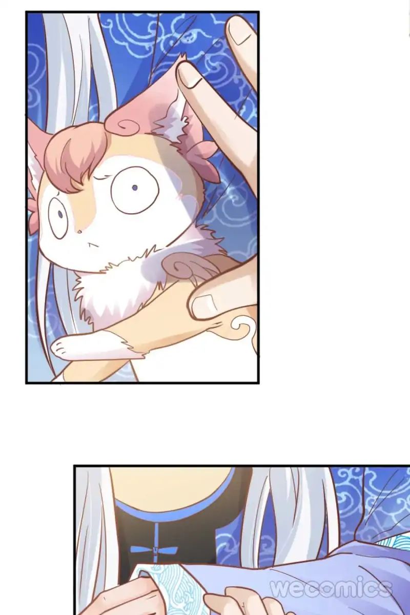 Page 12 of Chapter 29