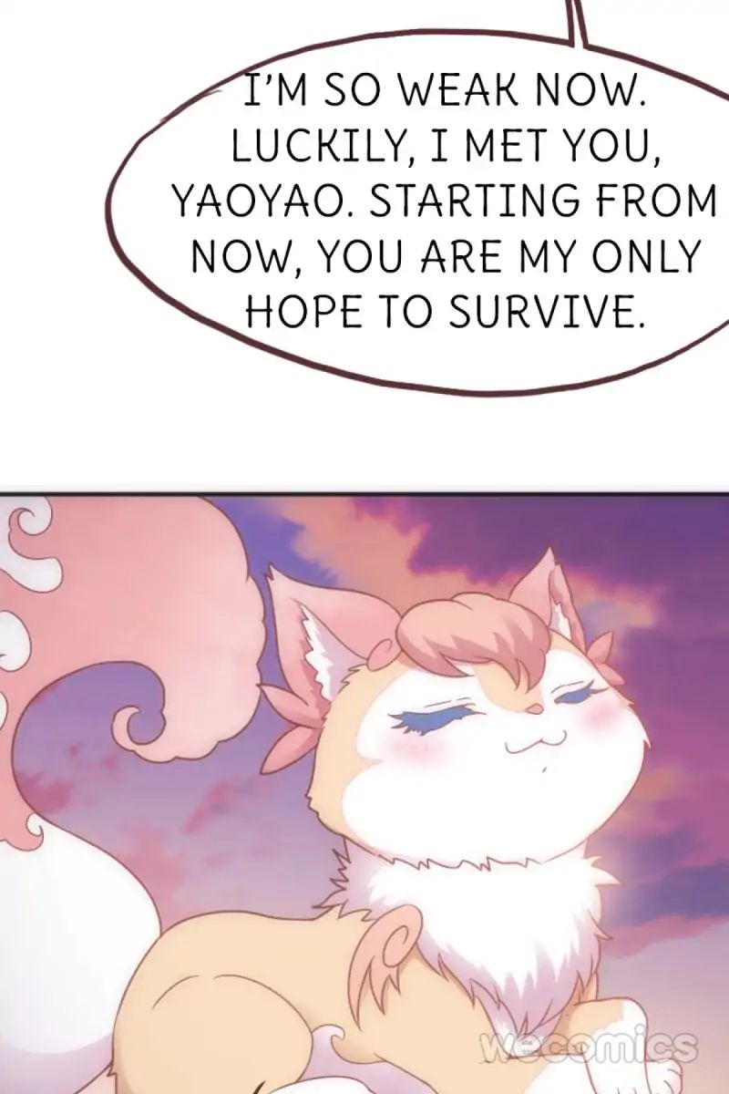 Page 5 of Chapter 31
