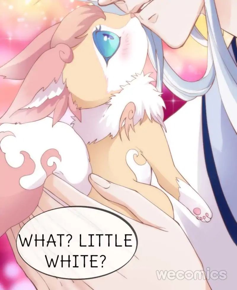 Page 44 of Chapter 31