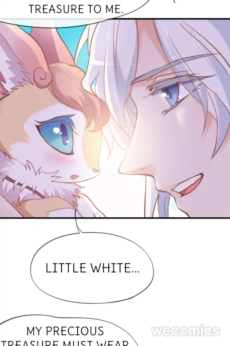 Page 19 of Chapter 33