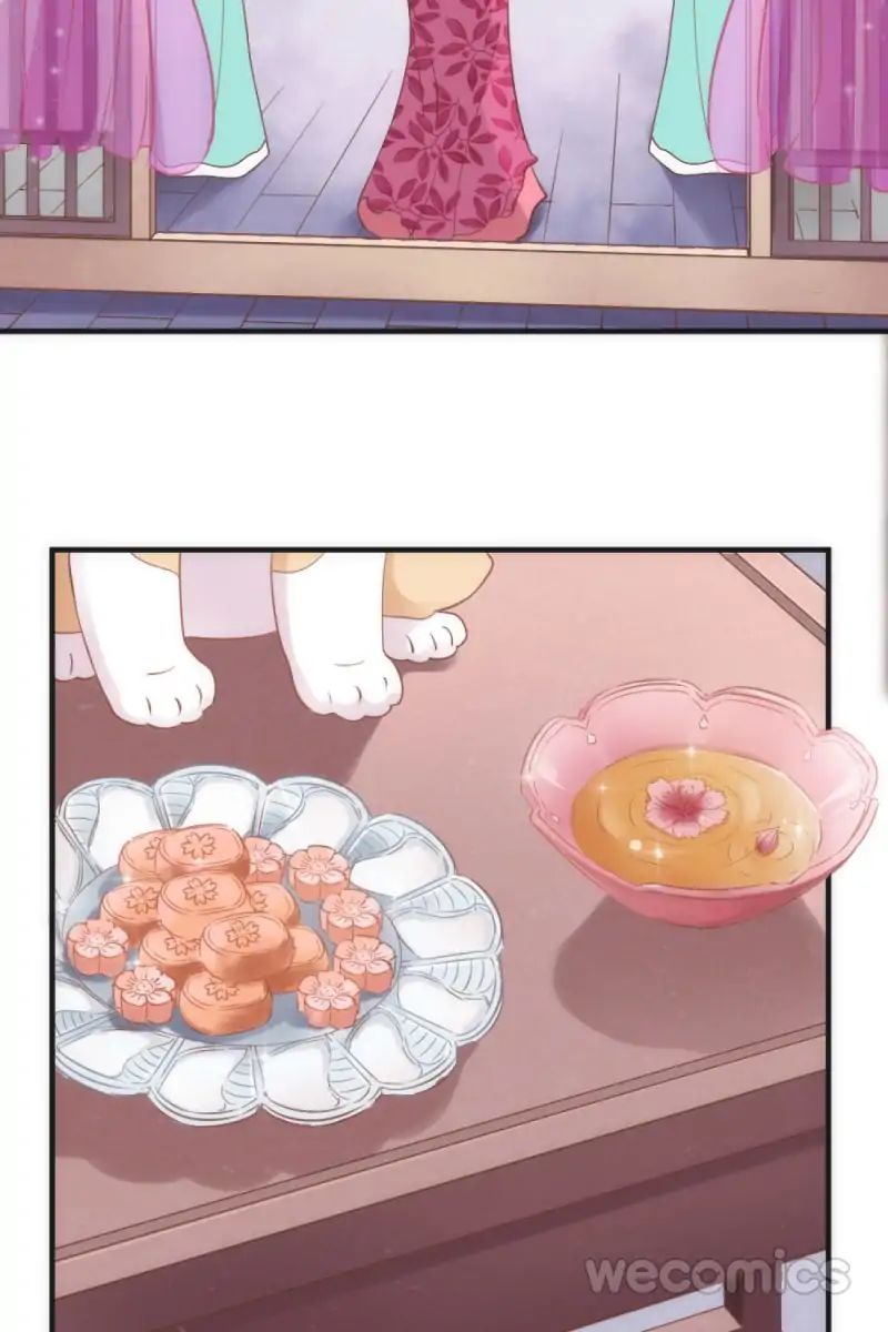 Page 13 of Chapter 35