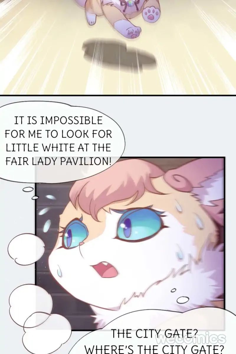 Page 9 of Chapter 38