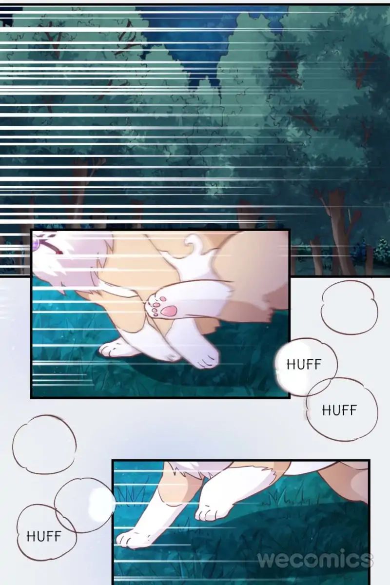 Page 14 of Chapter 38