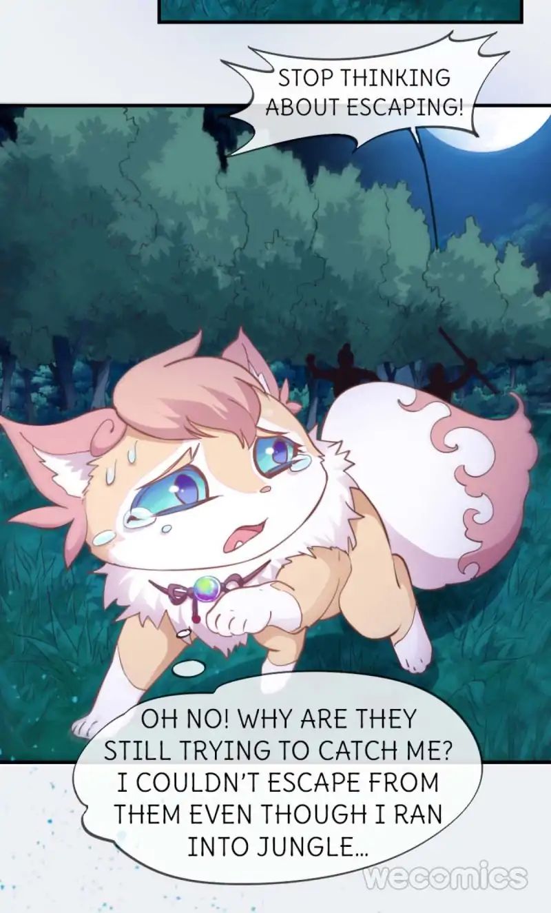 Page 15 of Chapter 38