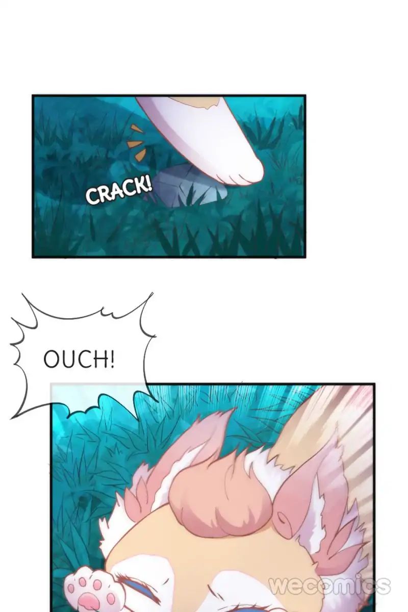Page 16 of Chapter 38