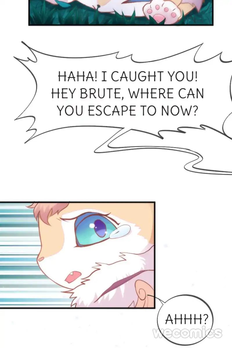 Page 17 of Chapter 38