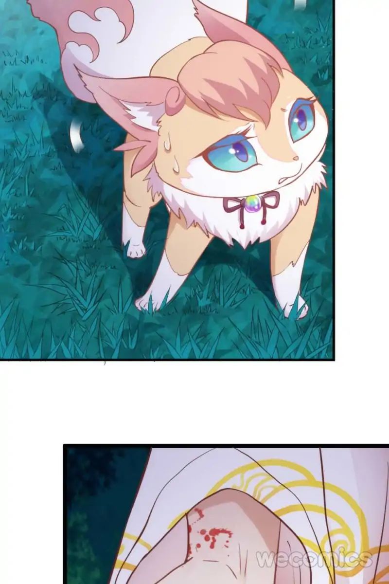 Page 11 of Chapter 39
