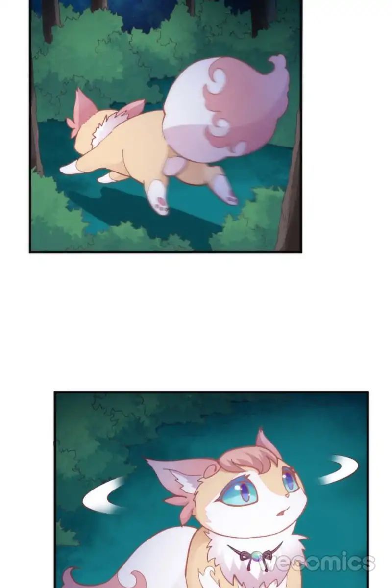 Page 19 of Chapter 39