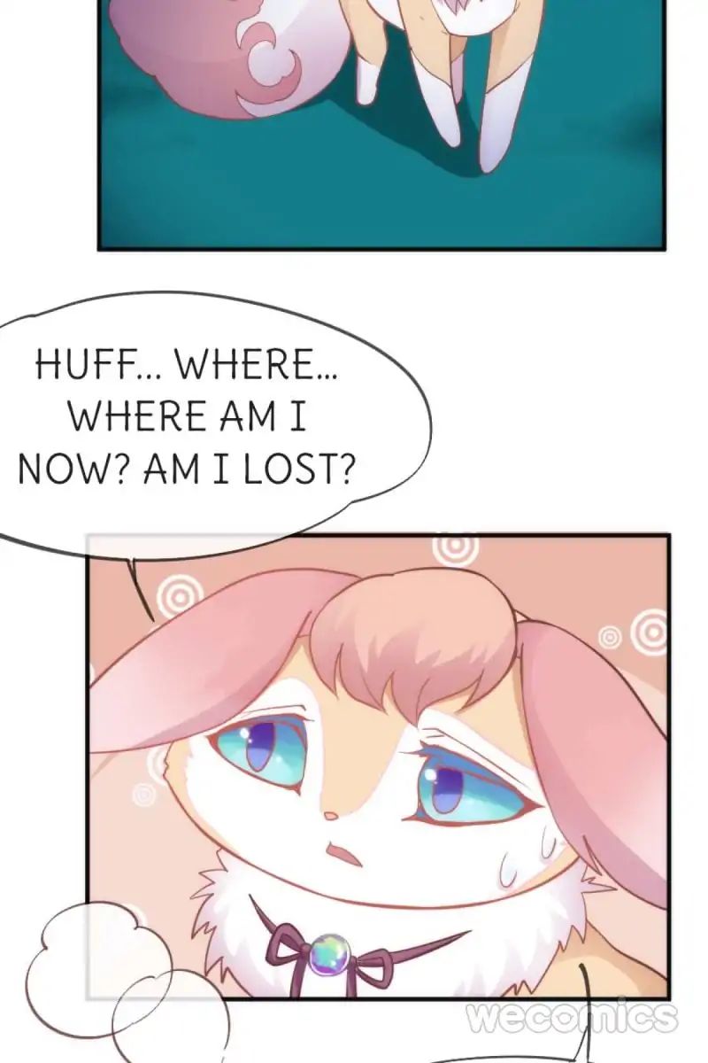 Page 20 of Chapter 39