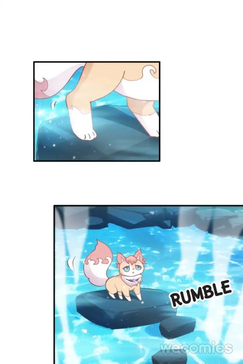 Page 1 of Chapter 40
