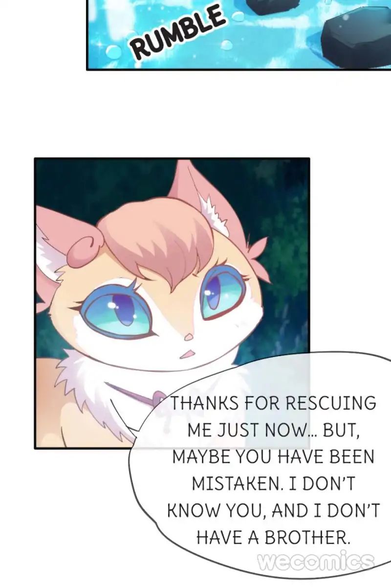 Page 2 of Chapter 40