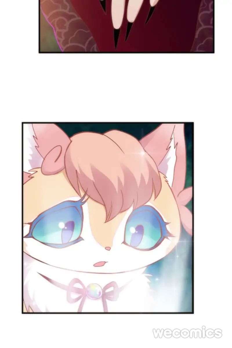 Page 20 of Chapter 40