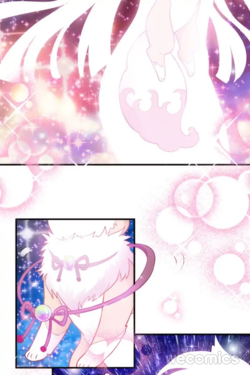 Page 24 of Chapter 40