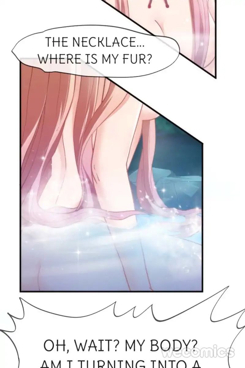 Page 8 of Chapter 41