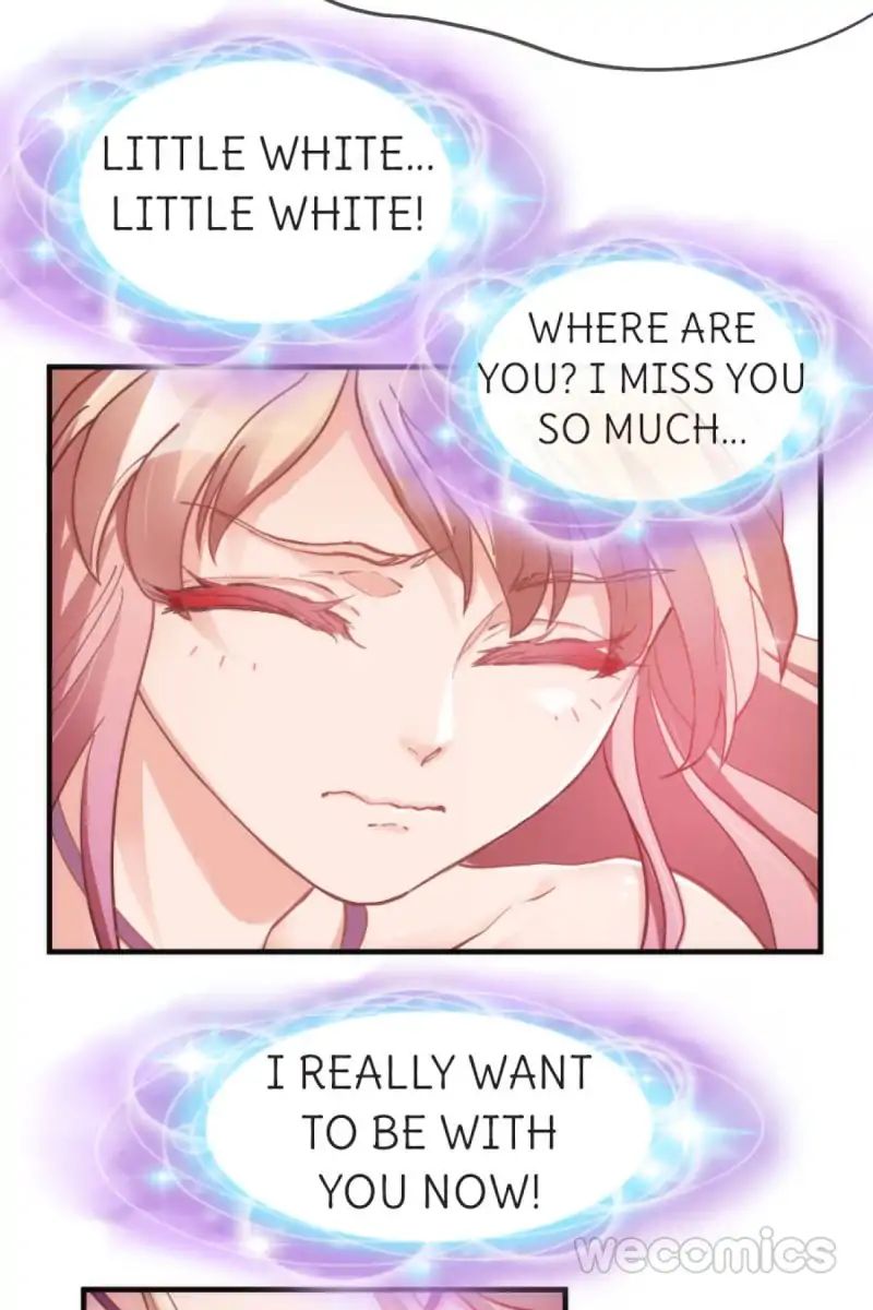 Page 21 of Chapter 41
